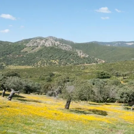 Charming House In With Shared Pool