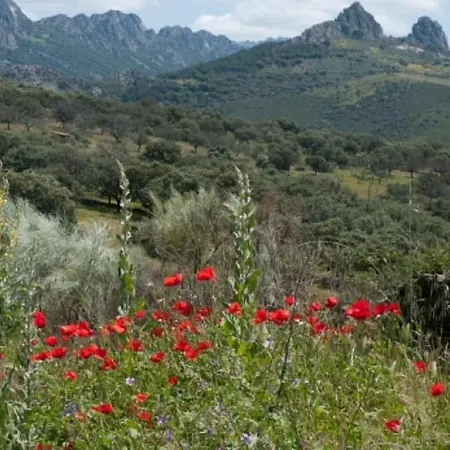 Charming House In With Shared Pool Дом отдыха Каньямеро