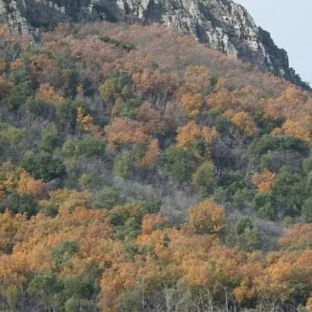 Vakantiehuis Charming House In With Shared Pool