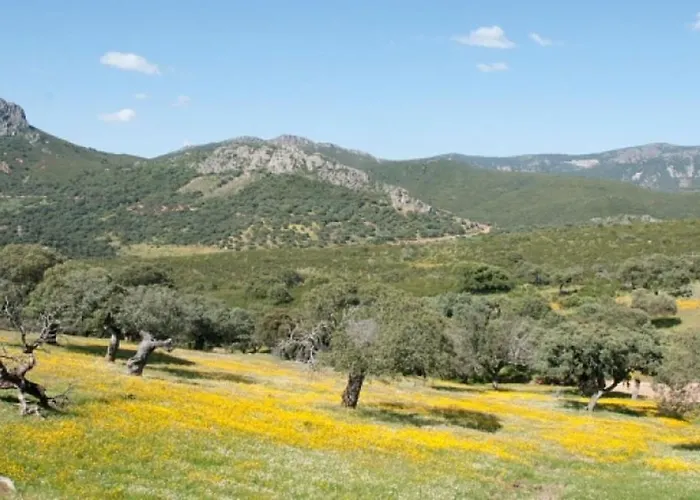 Charming House In With Shared Pool
