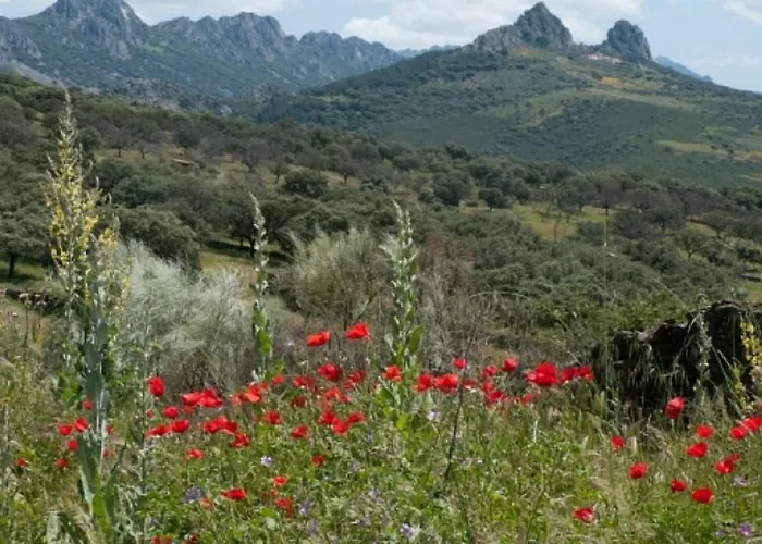 Charming House In With Shared Pool Casa vacanze Cañamero