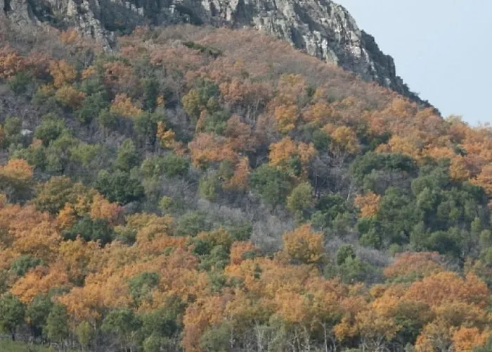 Casa vacanze Charming House In With Shared Pool